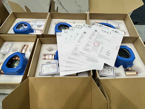 電石氣檢測儀計(jì)量校準(zhǔn)報(bào)告