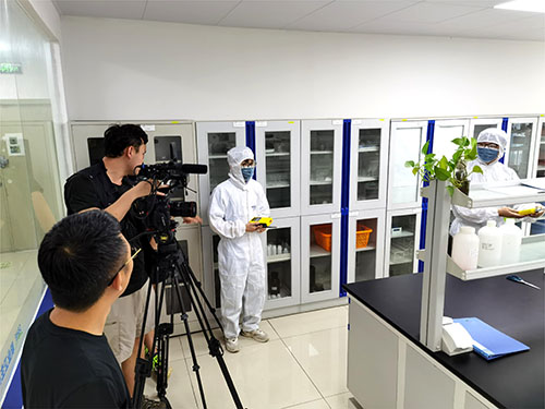 丁基酞酰甘醇酸丁酯檢測儀